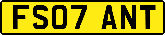 FS07ANT