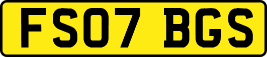 FS07BGS