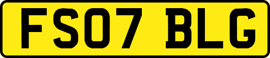 FS07BLG