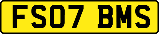 FS07BMS