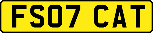 FS07CAT