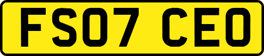 FS07CEO