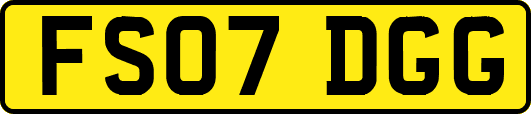 FS07DGG