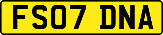 FS07DNA
