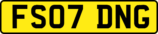 FS07DNG