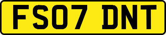 FS07DNT