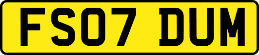 FS07DUM