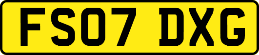 FS07DXG