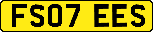 FS07EES