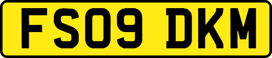 FS09DKM
