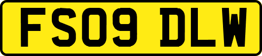 FS09DLW