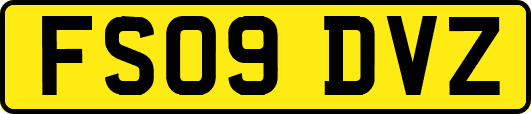 FS09DVZ