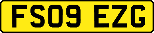 FS09EZG