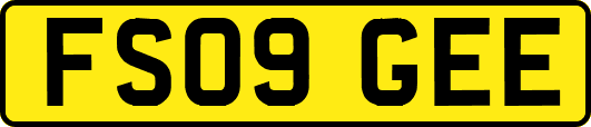 FS09GEE