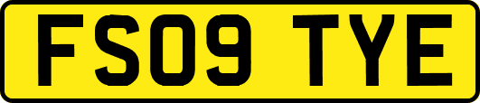 FS09TYE