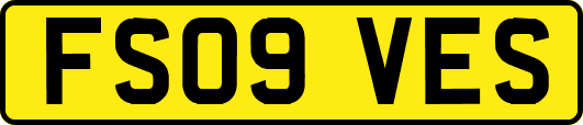 FS09VES