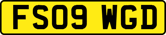 FS09WGD