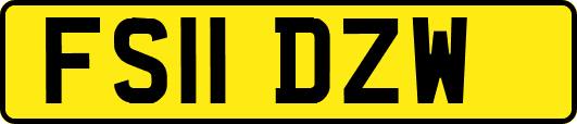 FS11DZW
