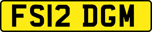 FS12DGM