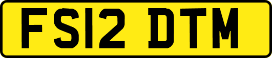 FS12DTM