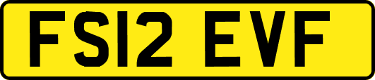 FS12EVF