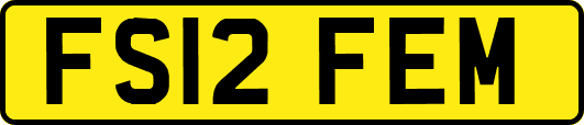 FS12FEM