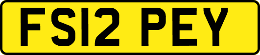 FS12PEY