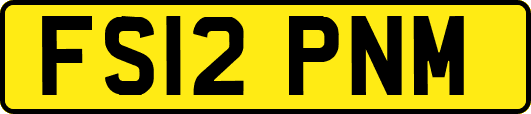 FS12PNM