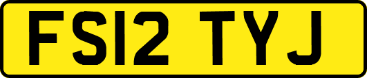 FS12TYJ