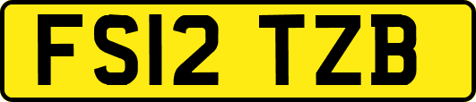 FS12TZB