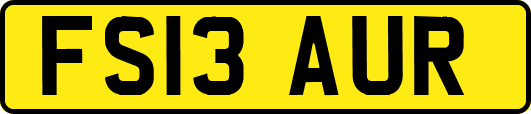 FS13AUR
