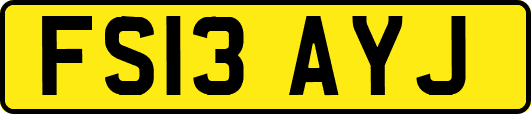 FS13AYJ