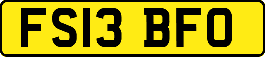 FS13BFO