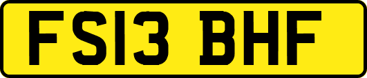 FS13BHF