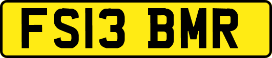 FS13BMR