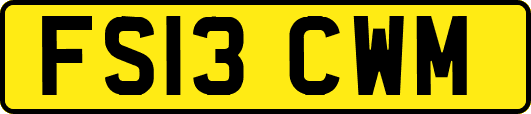 FS13CWM