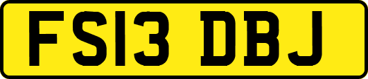 FS13DBJ
