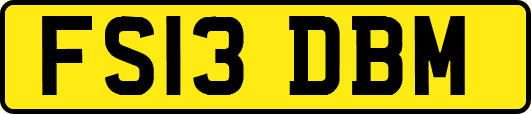 FS13DBM