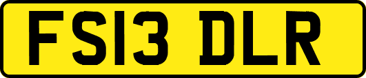 FS13DLR
