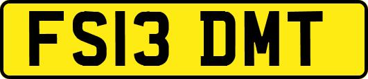 FS13DMT