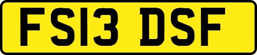 FS13DSF