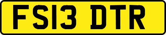FS13DTR