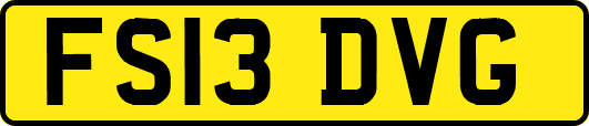 FS13DVG