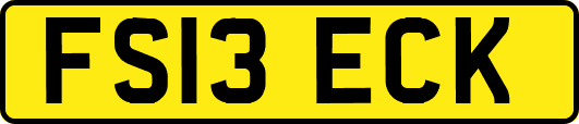 FS13ECK