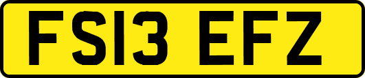 FS13EFZ