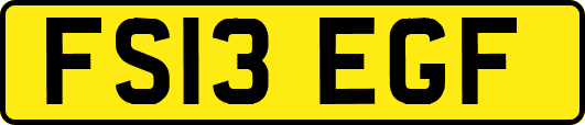 FS13EGF