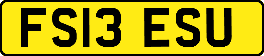FS13ESU