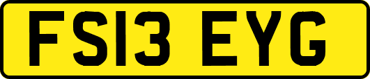 FS13EYG