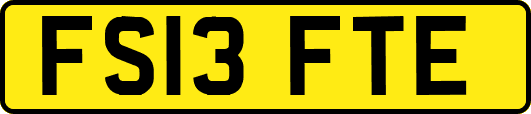 FS13FTE