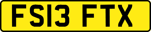 FS13FTX